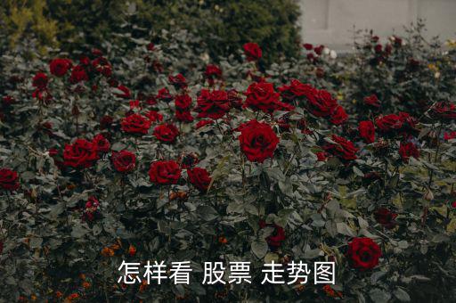 怎么看股票走勢(shì)圖圖解,k線圖一般稱為主圖，包含k線和均線