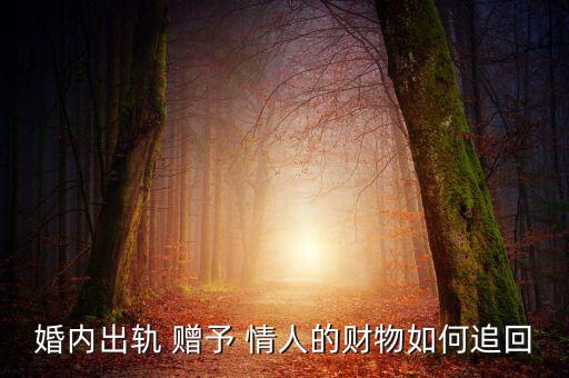現(xiàn)金贈(zèng)予情人不承認(rèn)怎么辦,【老公給情人出軌的錢可以請求返還