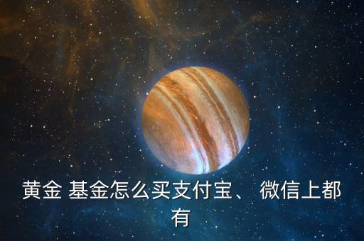 黃金 基金怎么買支付寶、 微信上都有