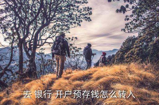 去 銀行 開(kāi)戶預(yù)存錢怎么轉(zhuǎn)入
