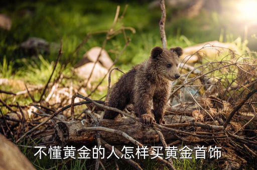 買(mǎi)金器怎么買(mǎi),黃金飾品買(mǎi)什么?