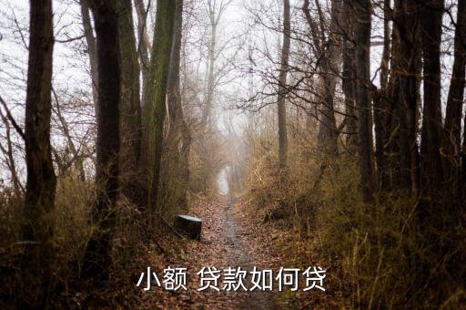 一小通順貸怎么貸款,貸款要求借款人以書(shū)面形式提交貸款申請(qǐng)