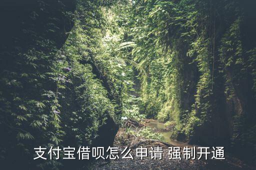  支付寶借唄怎么申請(qǐng) 強(qiáng)制開通
