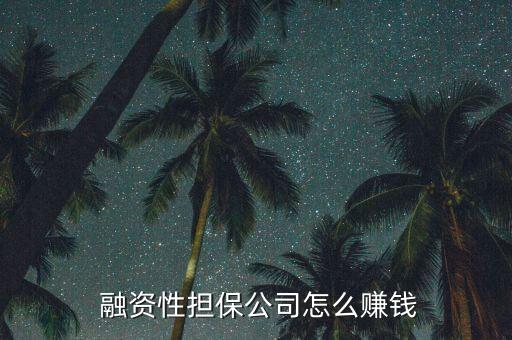  融資性擔(dān)保公司怎么賺錢(qián)