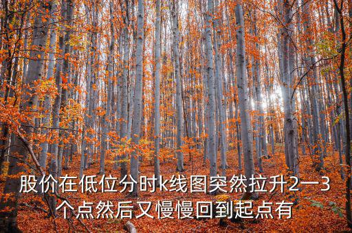 低位反彈之后加速拉升什么情況，股價在低位分時k線圖突然拉升2一3個點然后又慢慢回到起點有
