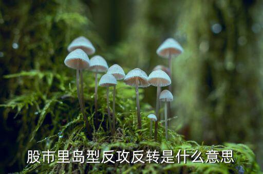 什么叫孤島反轉(zhuǎn)，股市里島型反攻反轉(zhuǎn)是什么意思