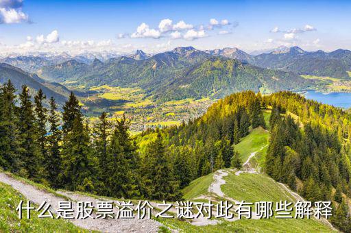 股票溢價(jià)是什么意思，什么是股票溢價(jià)之謎對(duì)此有哪些解釋