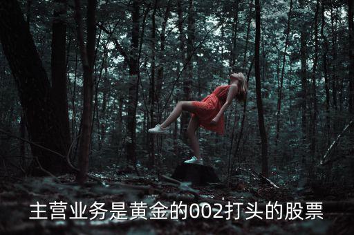 主營業(yè)務是黃金的002打頭的股票