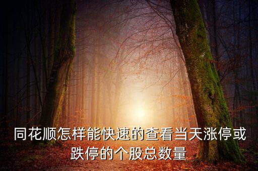  同花順怎樣能快速的查看當(dāng)天漲?；虻５膫€(gè)股總數(shù)量