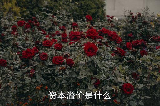 什么是溢價，什么是資本溢價