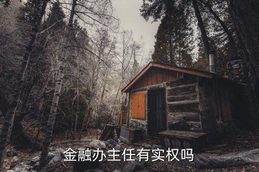 福建省金融辦主任有什么權(quán)利，金融辦主任有實(shí)權(quán)嗎