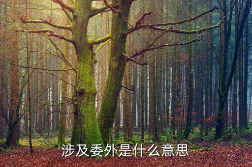 委外業(yè)務(wù)是什么意思，委外加工采購是什么意思