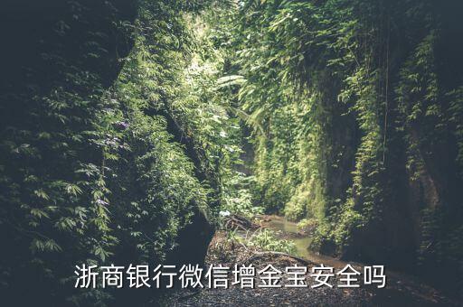 浙商銀行增金寶什么情況，浙商銀行增金寶安全嗎