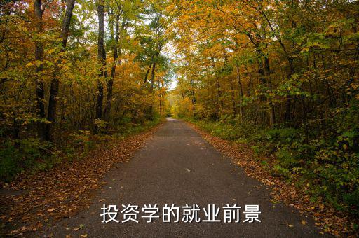 投資學怎么樣,中南財經(jīng)政法大學投資專業(yè)碩士點名單出爐