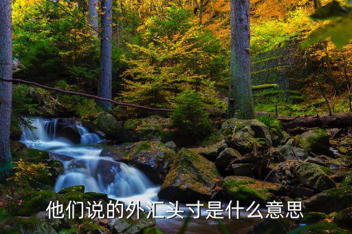 外匯交易中頭寸是什么意思，外匯頭寸是什么