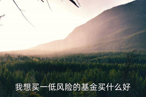 經(jīng)濟(jì)低迷投資什么基金，低收入買什么樣的基金好