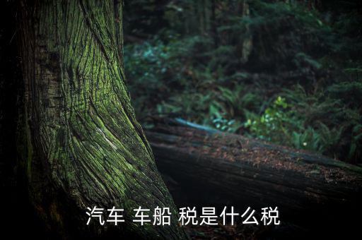 汽車(chē)車(chē)船稅是怎么樣,車(chē)船稅是對(duì)車(chē)輛、船舶征收的稅