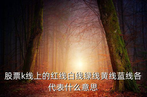 地圖綠線紅線代表什么，手機(jī)百度地圖路線中有紅色綠色藍(lán)色等不同的顏色代表什么