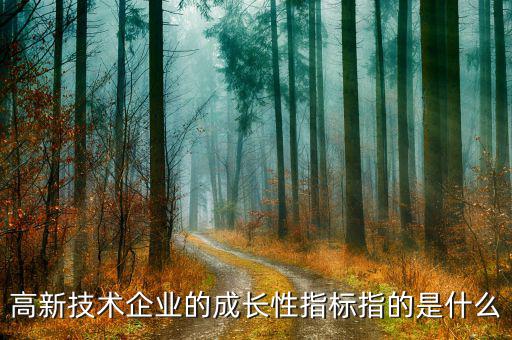 公司成長性指標用什么，請問反映企業(yè)價值和企業(yè)成長性的指標有哪些
