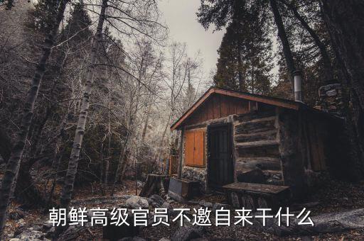 朝鮮領(lǐng)導人為什么不出訪，朝鮮高級官員不邀自來干什么