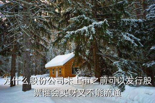 為什么發(fā)行股票就有人買，股票到底是什么為什么有那么多人買