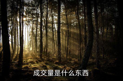 什么是成交量，什么是成交量