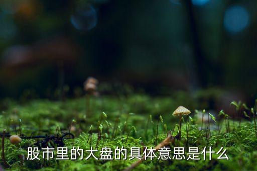 股票中大盤是什么意思，股市里的大盤的具體意思是什么