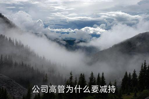 減持套現干什么，公司高管為什么要減持