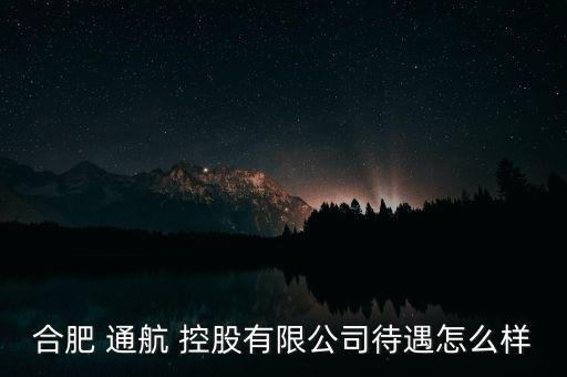 通航控股怎么樣,幸?？毓墒侵袊娇展I(yè)集團(tuán)公司子公司
