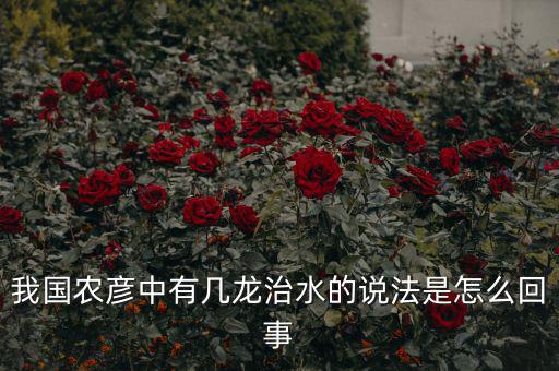三龍治水是什么意思，幾屠共豬 幾龍治水做何解