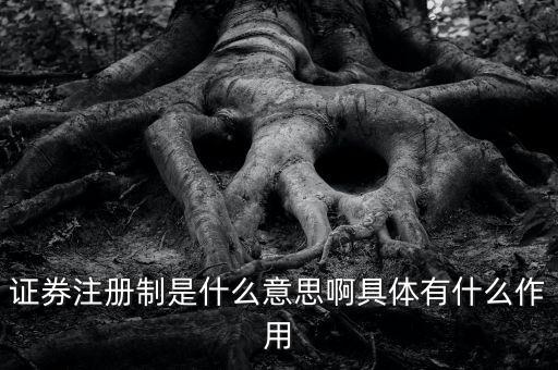 證券注冊制什么意思，證券注冊制是什么意思啊具體有什么作用