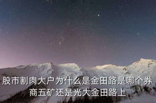 為什么益田路總割肉，股市割肉大戶為什么是金田路是哪個券商五礦還是光大金田路上