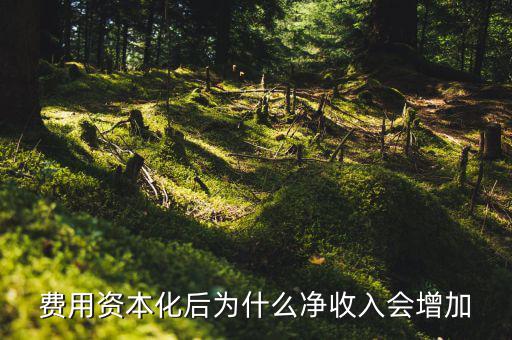 為什么資本化會使roa增加，法定存款準備金率的提高對ROA的影響謝謝啦