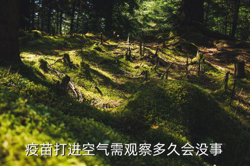 疫苗打進(jìn)空氣需觀察多久會沒事