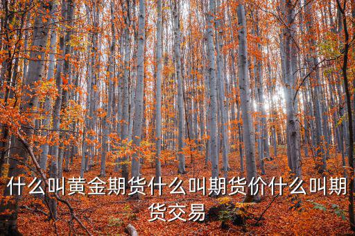 什么是期貨價(jià)，什么叫黃金期貨什么叫期貨價(jià)什么叫期貨交易