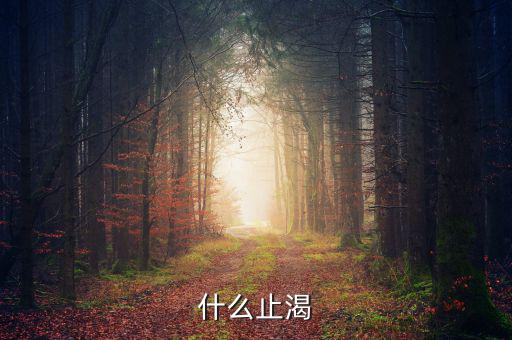 止渴指什么動，什么止渴