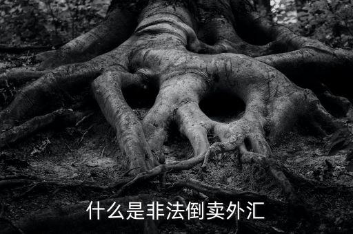 為什么會(huì)非法買賣外匯，私下交易外幣為什么是違法行為