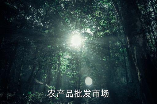 什么是公益性農(nóng)產(chǎn)品批發(fā)市場，談談如何加強和完善公益性農(nóng)貿(mào)市場建設
