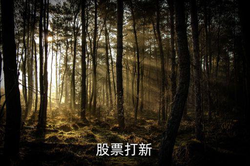 國金手機(jī)怎么查打新,新股網(wǎng)上申購三步驟:點(diǎn)擊交易選項