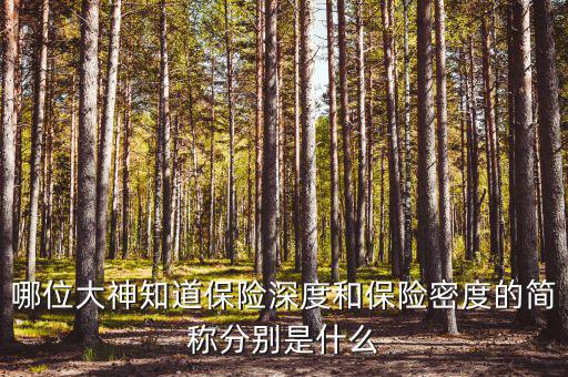什么叫保險密度，保險深度與密度是什么