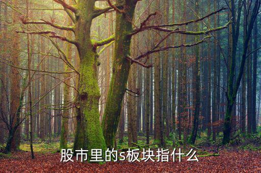s佳通的s什么意思，橡膠概念的股票有哪些