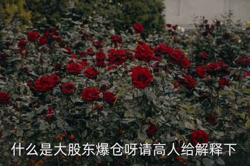 大股東爆倉(cāng)什么意思，什么是大股東爆倉(cāng)呀請(qǐng)高人給解釋下