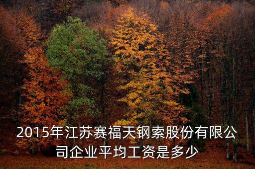 賽福天是什么公司，2015年江蘇賽福天鋼索股份有限公司企業(yè)平均工資是多少