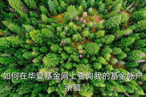 為什么郵政的華夏基金看不到余額，郵政網(wǎng)上支付查不出余額怎么回事