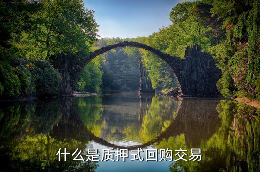拆出質(zhì)押回購(gòu)什么意思，股票質(zhì)押式回購(gòu)是什么意思