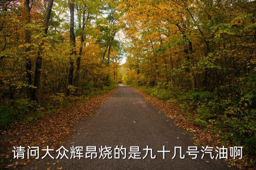 什么車燒90號汽油，請問大眾輝昂燒的是九十幾號汽油啊