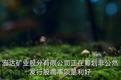 宏達(dá)礦業(yè)什么重大事項(xiàng)，請教600687停盤說是因?yàn)楹藢?shí)公司相關(guān)重大事項(xiàng)這個(gè)重大事項(xiàng)有知