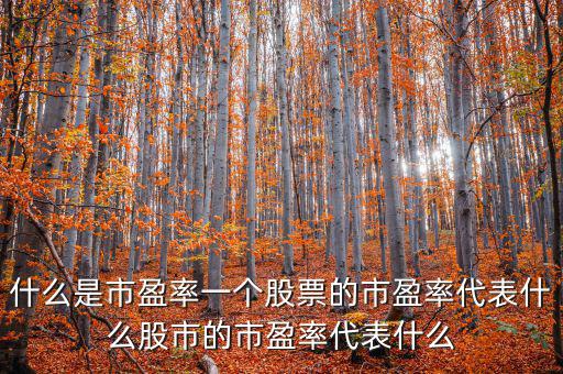 平均市盈率說明什么，什么是市盈率一個(gè)股票的市盈率代表什么股市的市盈率代表什么