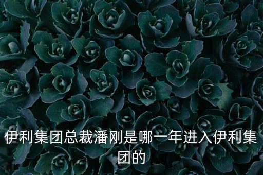 潘剛什么背景，潘剛是哪里人啊