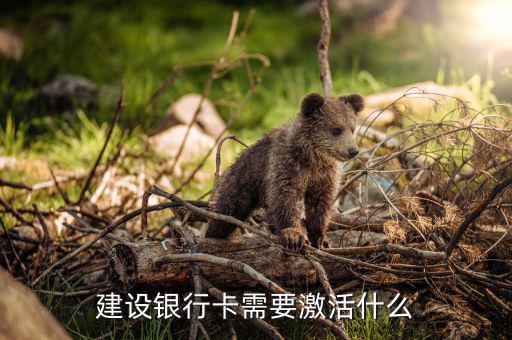 建行信用卡激活需要什么，激活信用卡需要準(zhǔn)備什么東西身份證和戶口本
